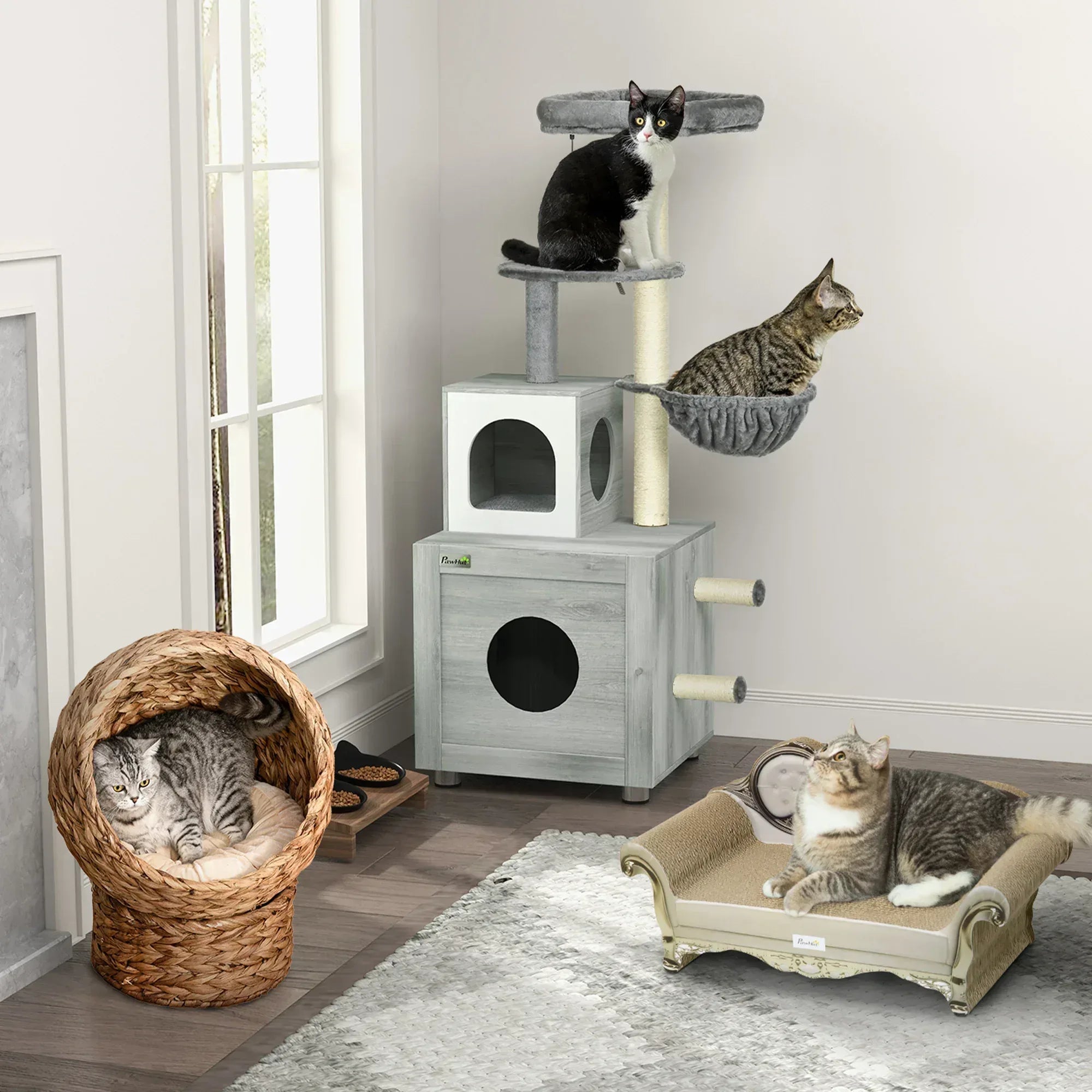 pgJf2d194967a3529 - Bobobiy