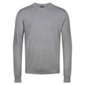 Light grey crew neck jumper with long sleeves and ribbed collar, cuffs, hem