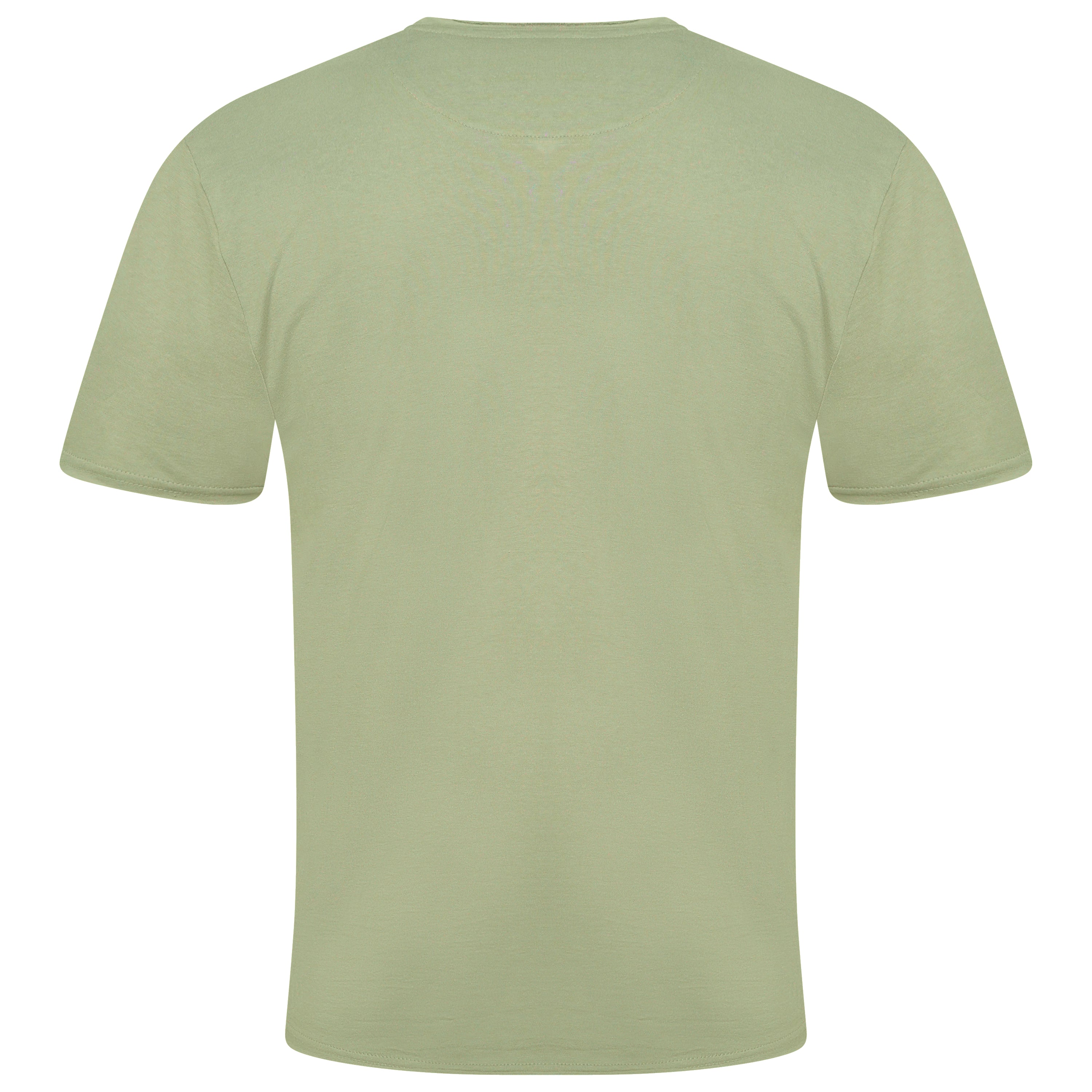 Brave Soul Fresher Raw Edge Cotton T-Shirt