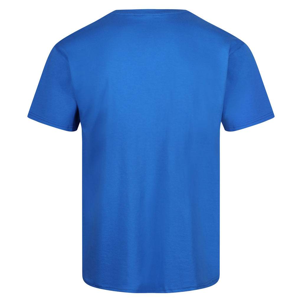 Fruit of the Loom Iconic 165 Classic T-Shirt