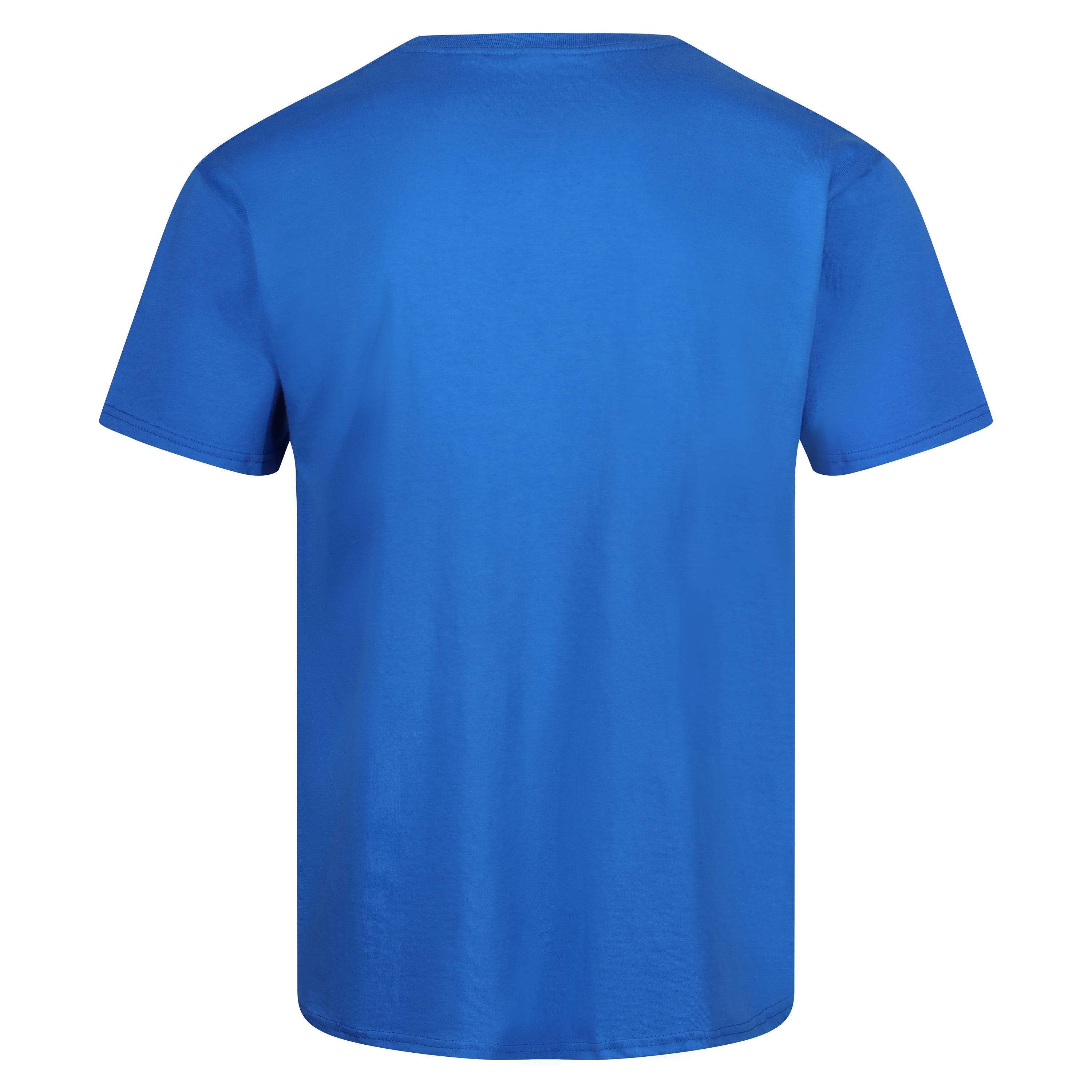 Fruit of the Loom Iconic 165 Classic T-Shirt