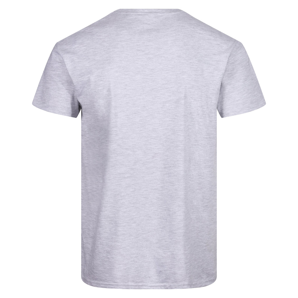 Fruit of the Loom Iconic 165 Classic T-Shirt