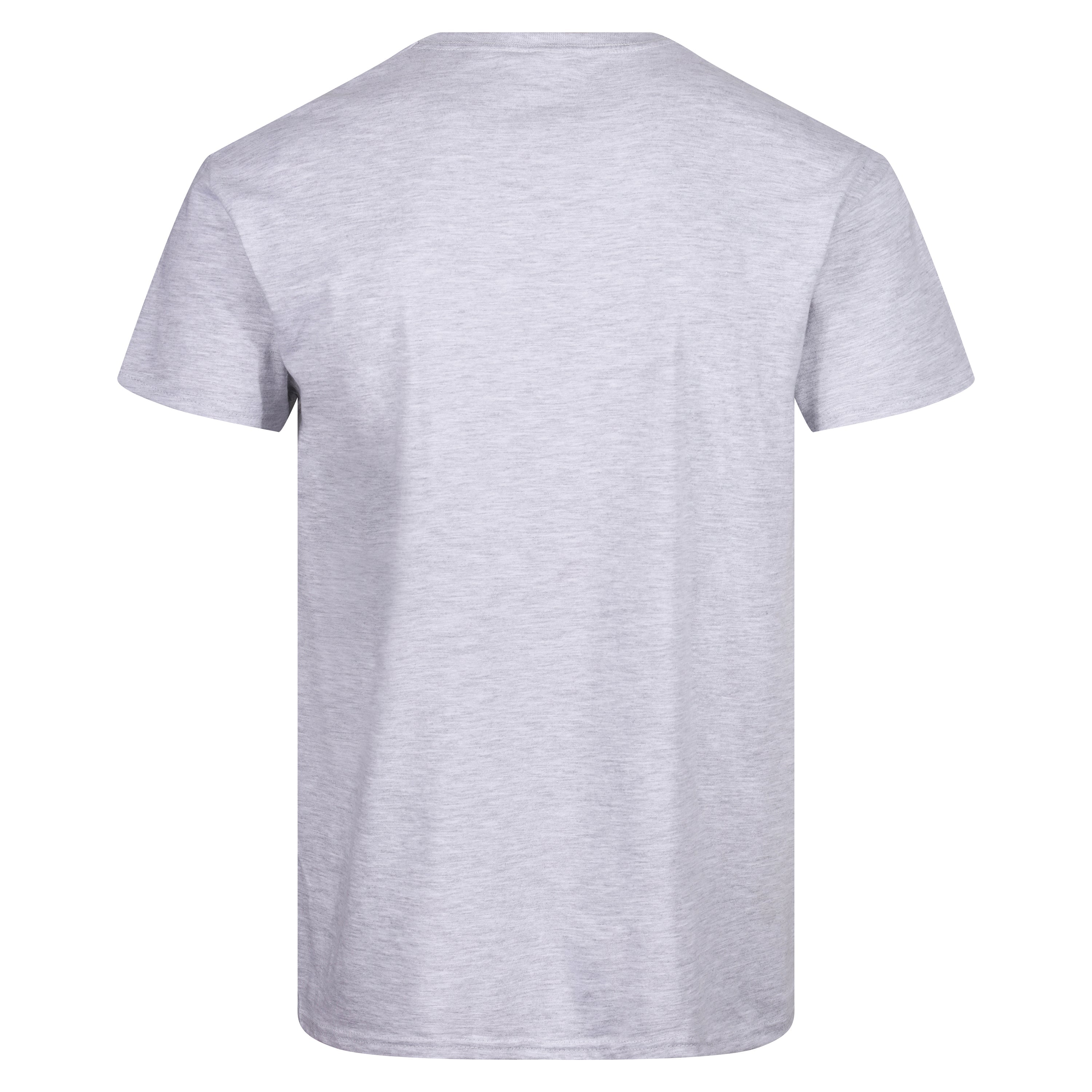 Fruit of the Loom Iconic 165 Classic T-Shirt