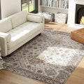 Beige vintage area rug in living room, ornate medallion pattern with decorative border