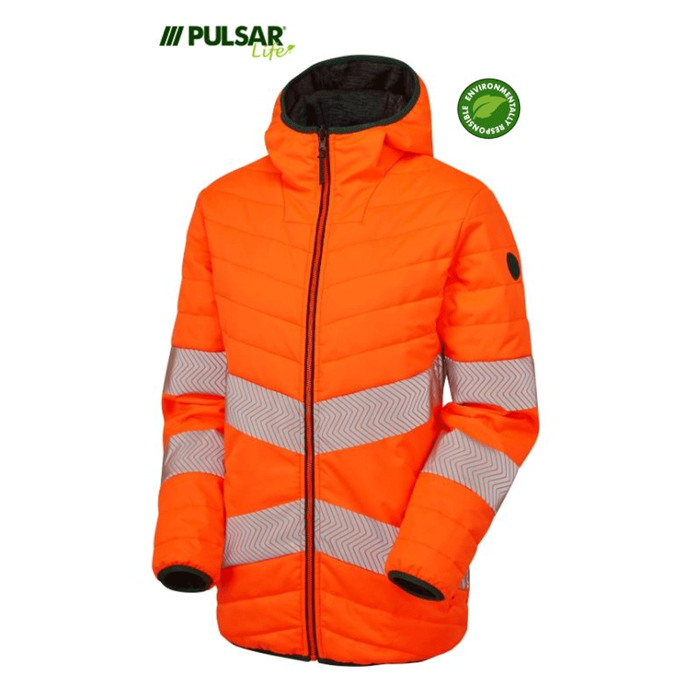 pulsar1_d0c6f6b9-19bd-4a1b-871b-8a1593442a73 - Bobobiy