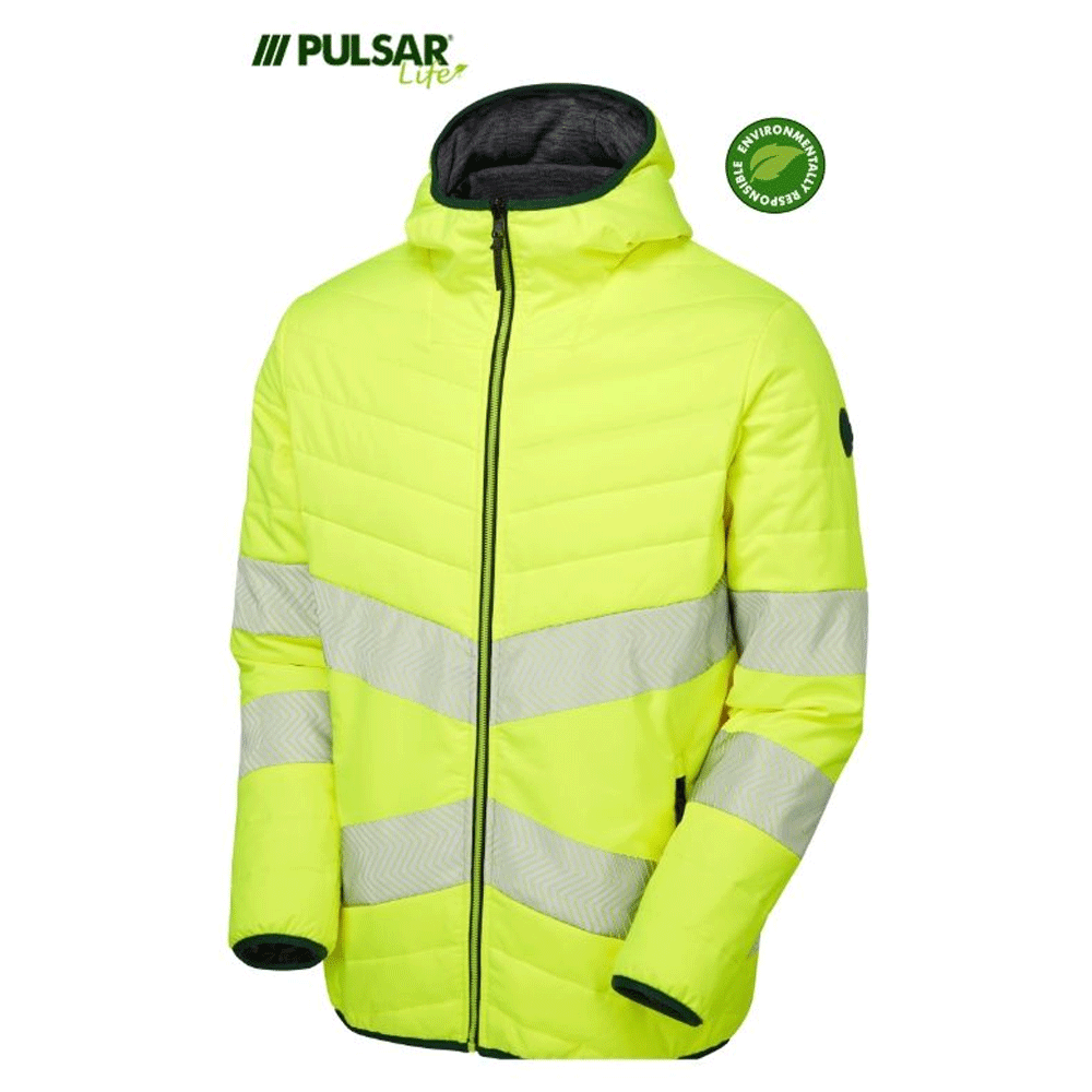 pulsar1_f2b336d9-cd9f-4362-b368-72377740ef90 - Bobobiy