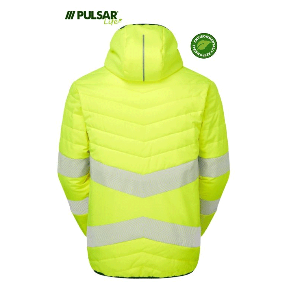 pulsar2_5e4d8362-bdb8-4d67-97c2-1f89dae93da6 - Bobobiy