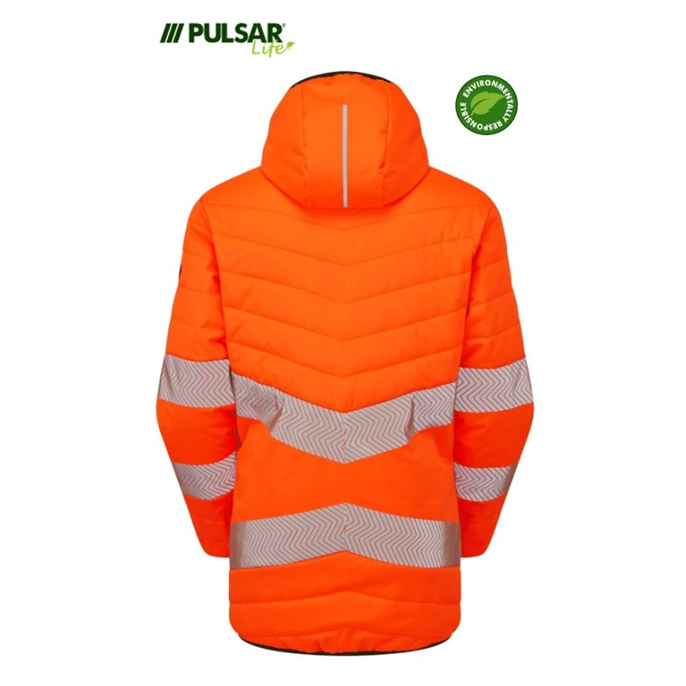 pulsar3_598216cf-a619-402e-877f-b2e4d6303c63 - Bobobiy