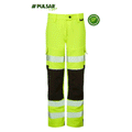 pulsar_0877ea75-65b0-45aa-9862-43c8e4292b47 - Bobobiy