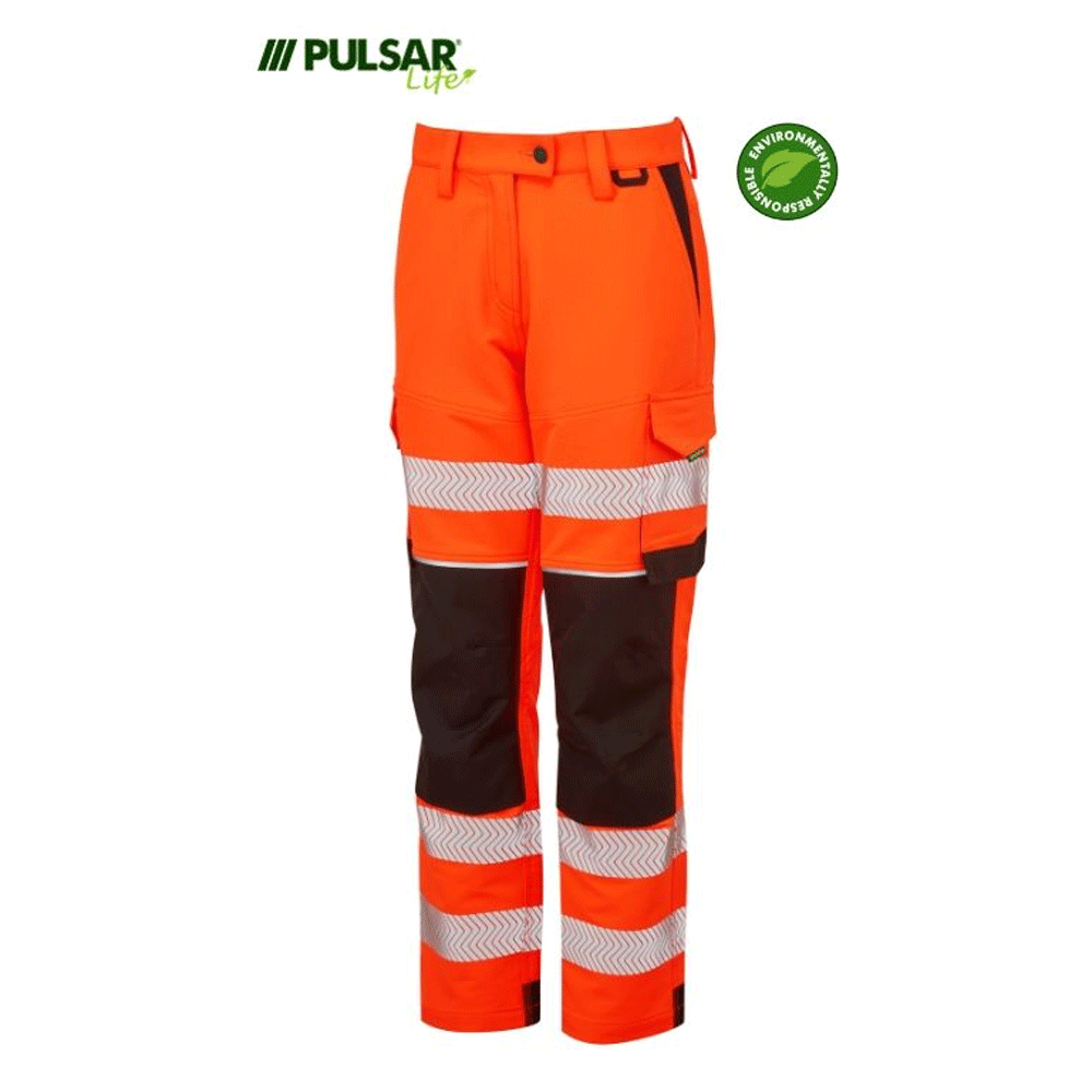 pulsar_2e10cccf-c20c-4858-9702-3db7976a2781 - Bobobiy