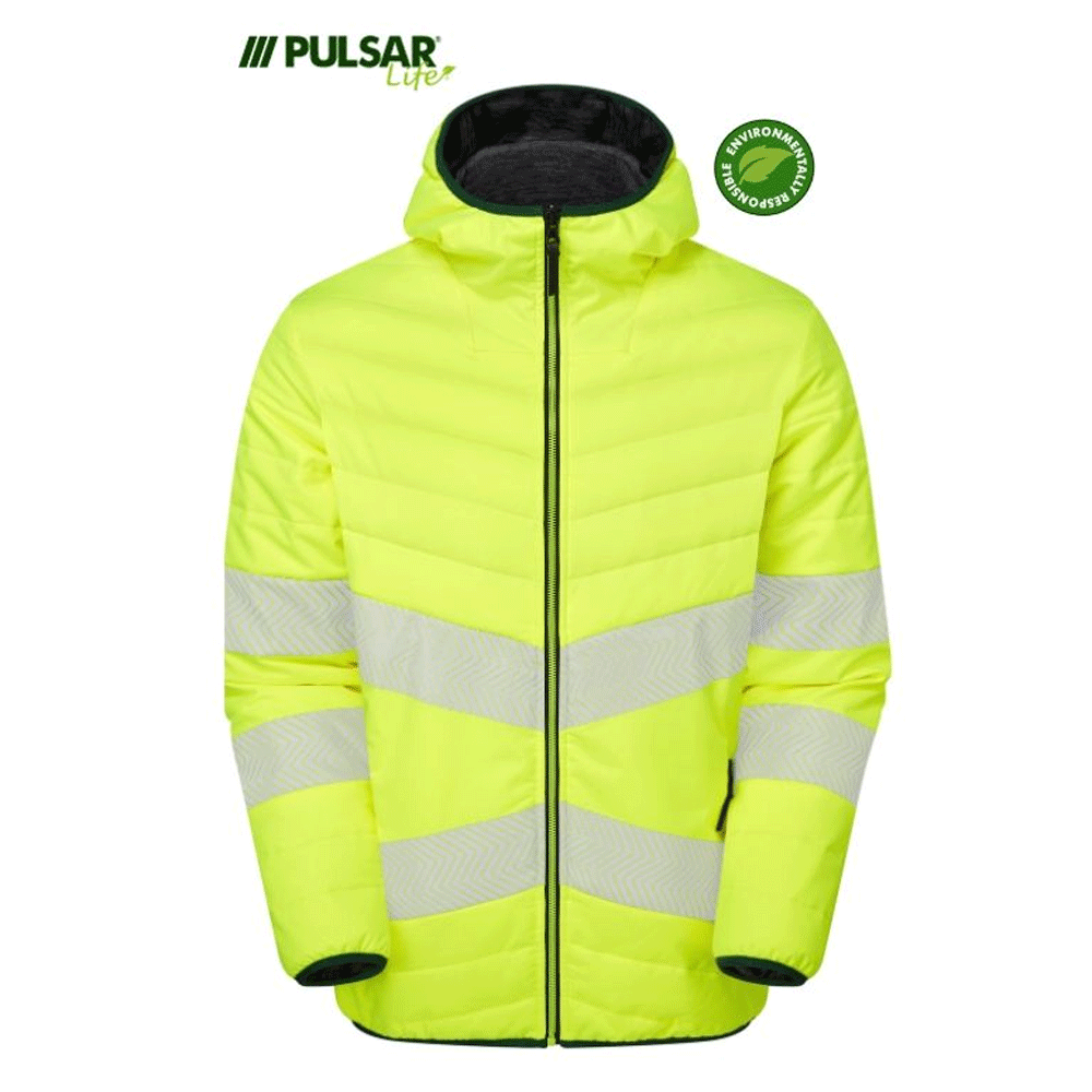 pulsar_3c893323-3753-4fca-a038-55fcb35ac84a - Bobobiy