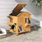 Outdoor wooden 2-story cat house with side and front openings, jump ledges, and cats inside