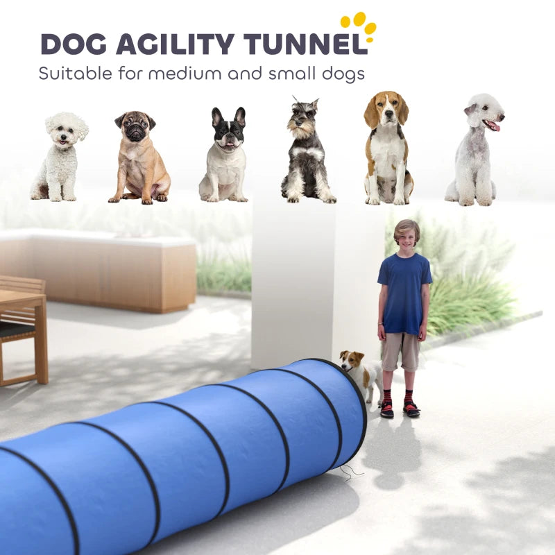 Blue dog agility tunnel with circular openings and black ring panels, on a yard lawn