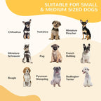 Small dog breed size examples for choosing a playpen for small and medium dogs