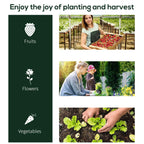 Planting theme graphic with fruits, flowers, and vegetables icons