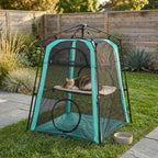 Teal and black 3-tier cat tent with mesh panels and circular front door in a yard