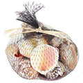 Black mesh bag of seashells