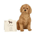 Tan cockapoo resin dog ornament, sitting with a name card beside it