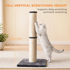 80 cm cat scratching post with beige sisal pole and dark grey plush base