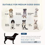Grey dog sofa bed infographic featuring multiple small dog silhouettes and body-length note