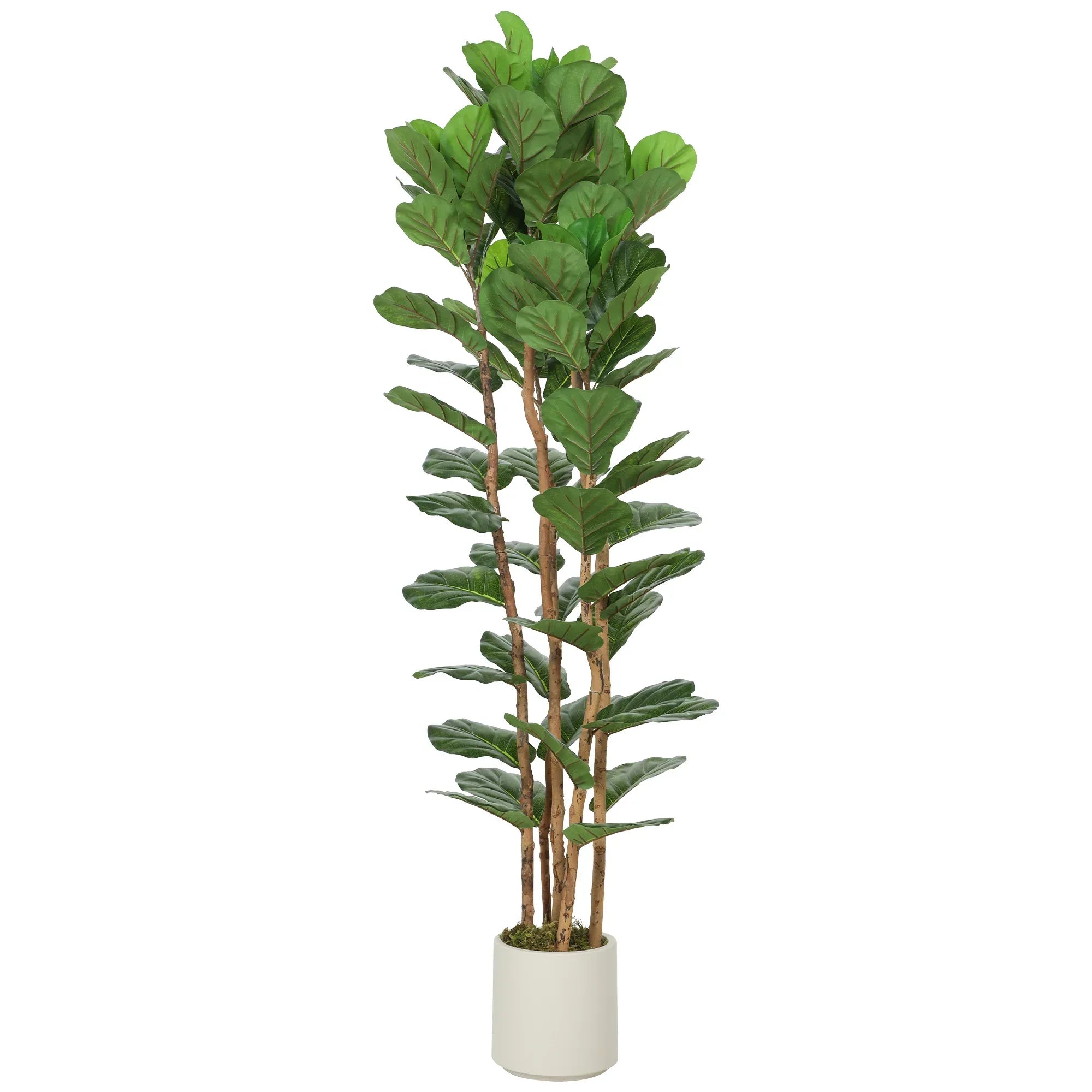 180cm Artificial Fiddle Leaf Fig Tree - Green - Bobobiy