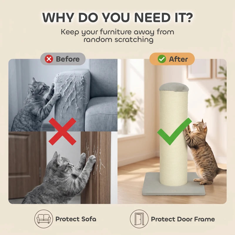 Cat scratching post showing tall sisal post with gray top and square base