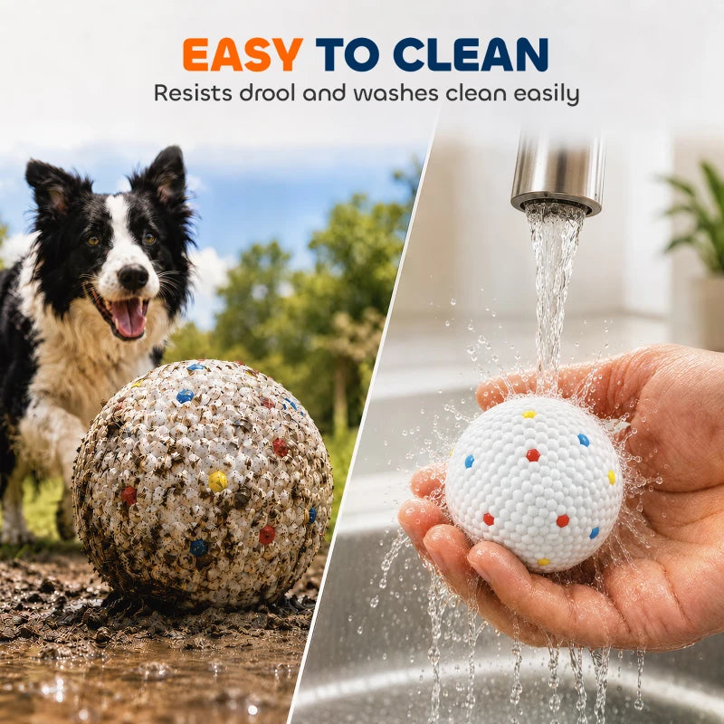 White dog ball with colorful speckles held in hand with water splashes
