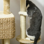 Close-up of beige scratching post wrapped in sisal with plush platform edge