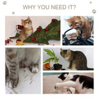 Cat tree promo graphic featuring cats and a light grey plush climbing tower