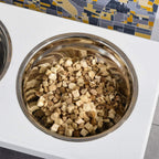 Close-up of stainless steel dog bowl filled with dry kibble on a white stand