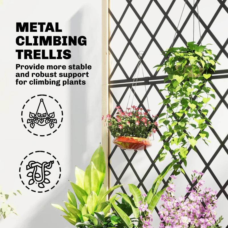 Wooden raised planter with black diamond metal trellis supporting climbing flowers and leaves