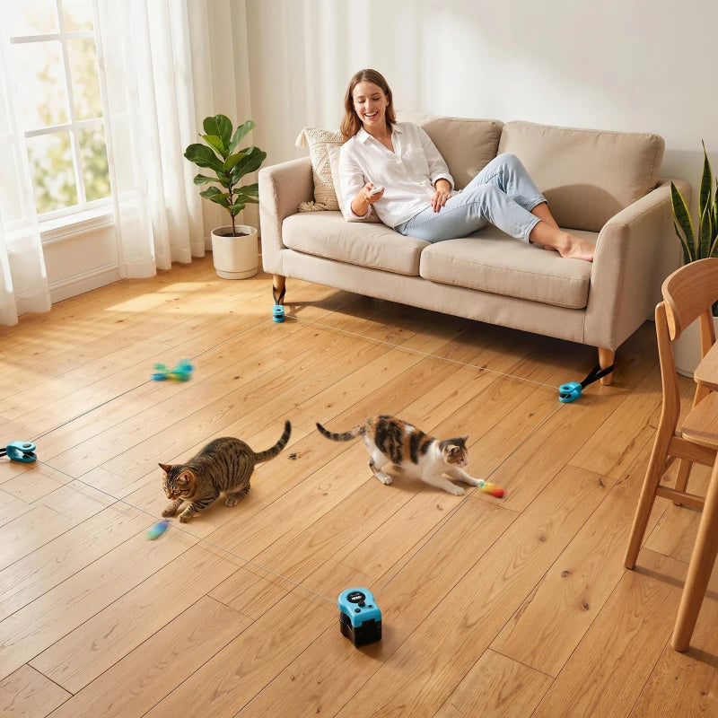Blue interactive cat toy with DIY chase track in living room with two kittens